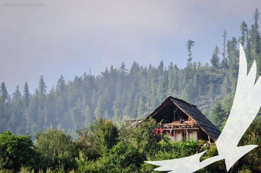 A house with alpine thatched roof in Lama Hotel near Rara Lake Photo by Anuj Adhikary - Simikot To Rara