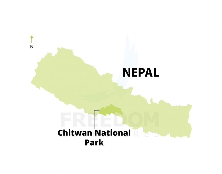 Chitwan National Park 01s - Chitwan National Park