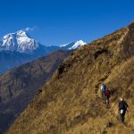 Hikers  on the way to Bayali Kharka on the Annapurna Massif with