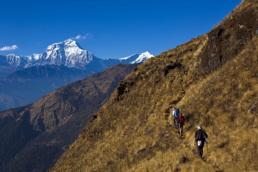 Hikers  on the way to Bayali Kharka on the Annapurna Massif with