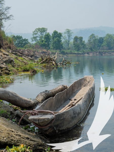 Peregrinate above the Chitwans river on this Nepali wood carved boat made straight out of a single tree.
