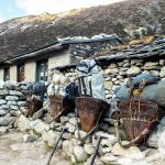 Potters rest their Dokos with luggage - Gokyo Lake with Everest Base Camp