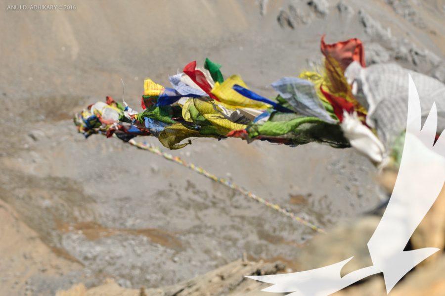 Prayer flags on High Camp just below Thorung La Camp - Thorung La Pass with Tilicho Lake