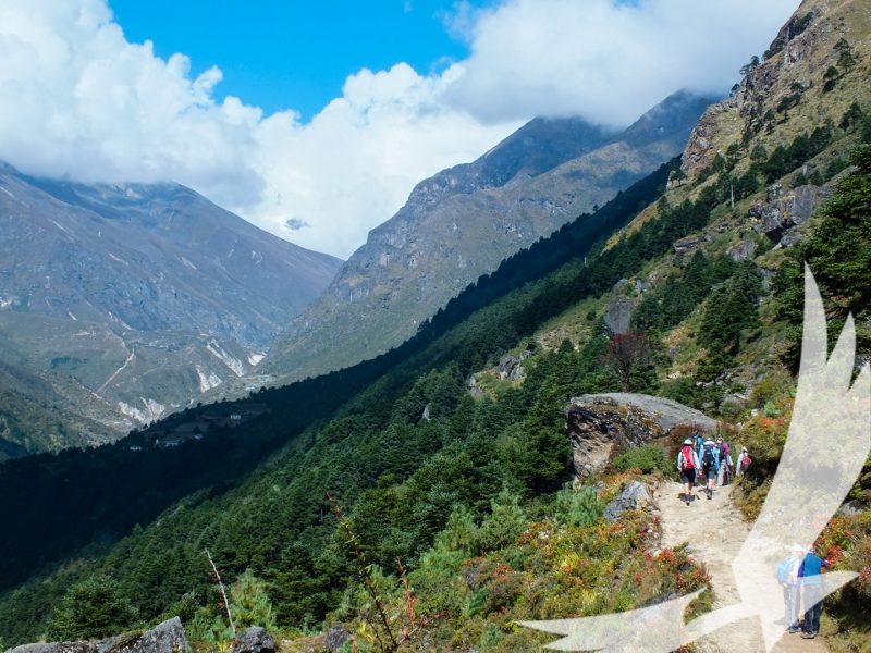 The greener side of high mountains are home to exquisit flora and vegetaion treat for nature lovers - Gokyo Lake