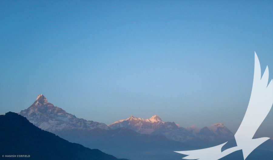 Annapurna range under open blue skies gets closer and closer as trekker head further north from Pritam deurali on Mardi himal trek