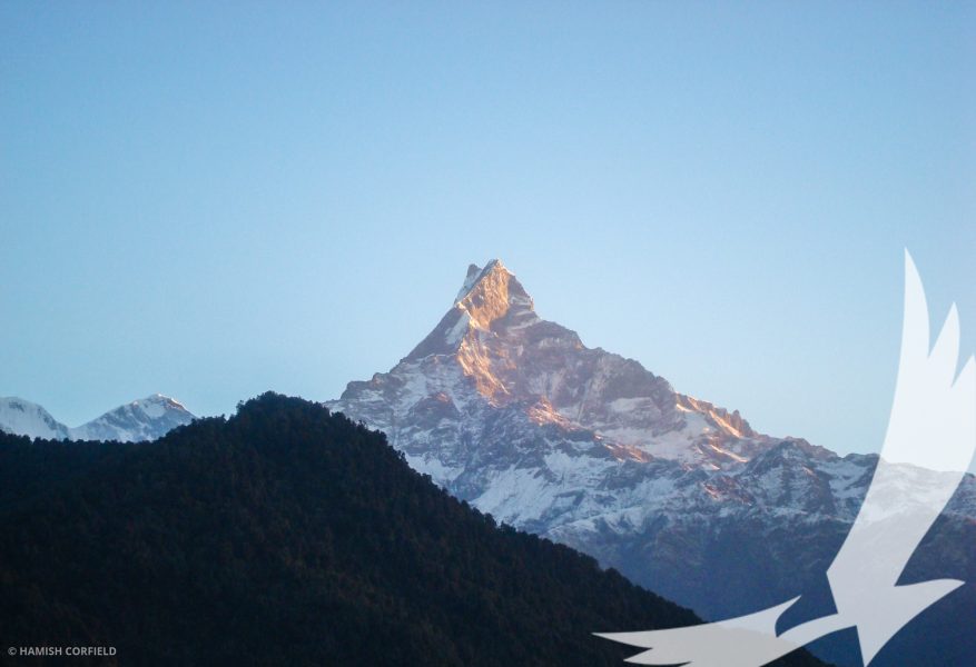 Mardi himal base camp offers the best direct view of Mt.Fishtail 400m higher than Annapurna base camp - Mardi Himal Trek